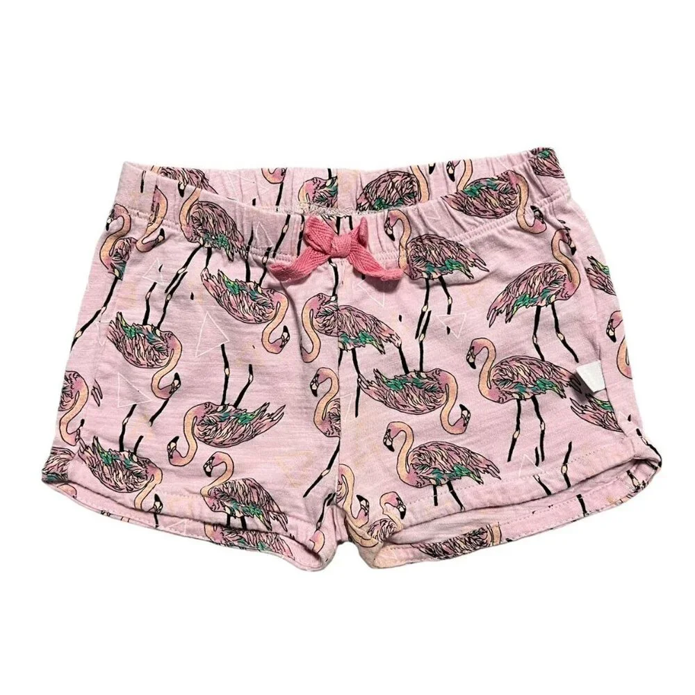 Rosie Pope 12m Flamingo Shorts Set